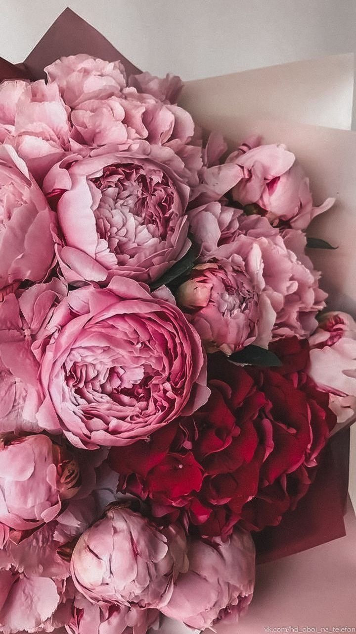 Bouquet di 9 Peonie e 3 ortensie