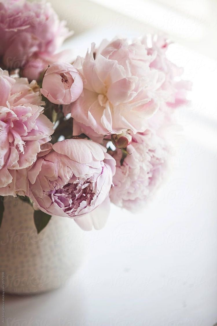 Bouquet di peonie per la Festa della Mamma