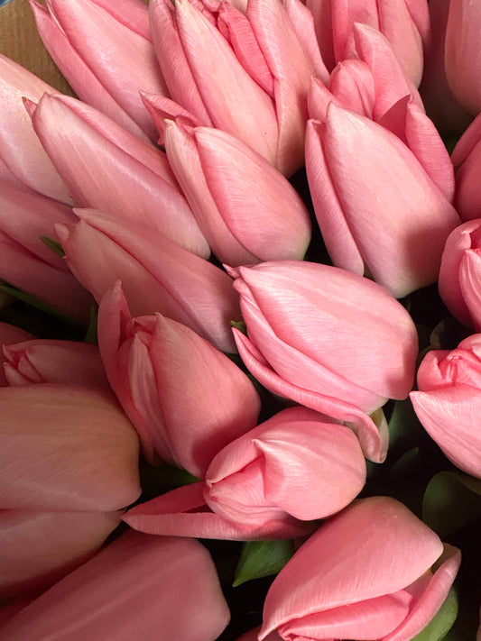 Bouquet di tulipani rosa