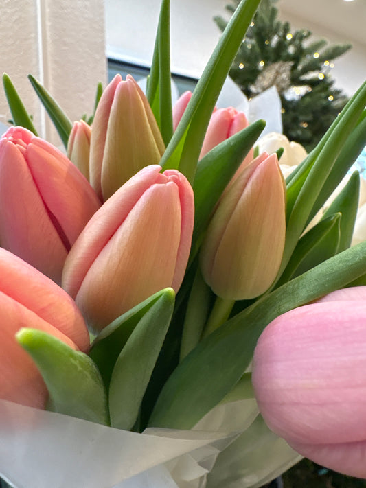 Bouquet di tulipani d’inverno