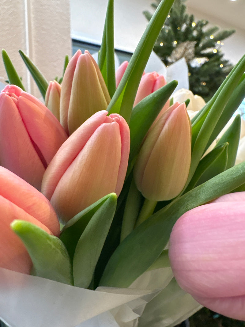 Bouquet di tulipani d’inverno