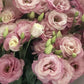 Bouquet di lisianthus per la Festa della Mamma
