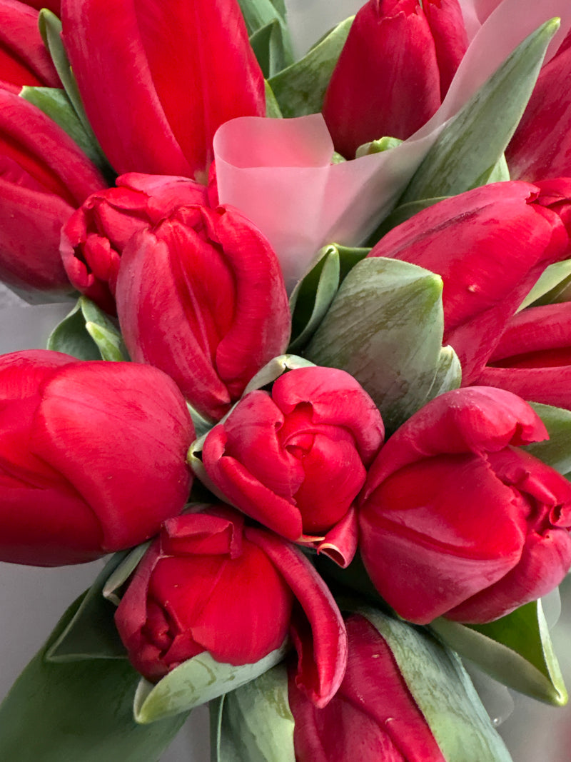 Bouquet di tulipani d’inverno