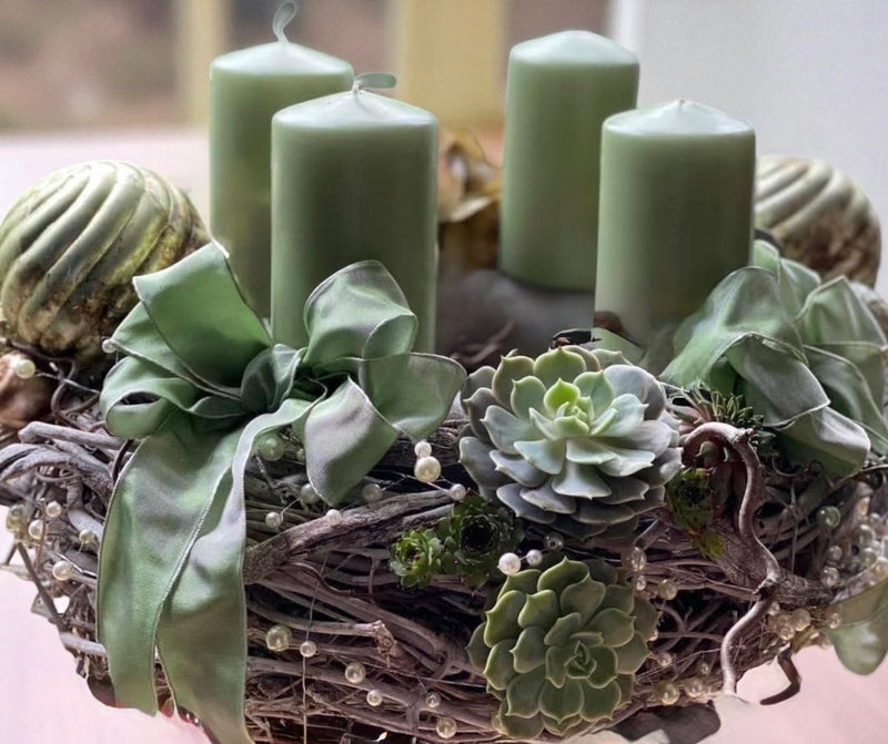 Avvento di succulente