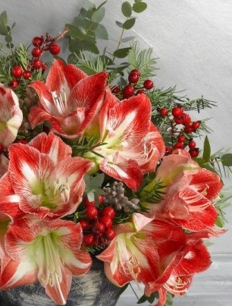 Bouquet di amarillis variegati