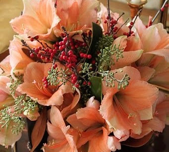 Bouquet di amarillis salmone