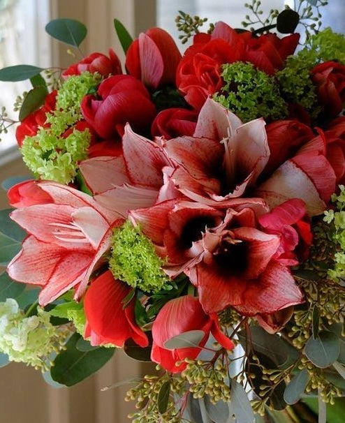 Bouquet di amarillis ciliegia