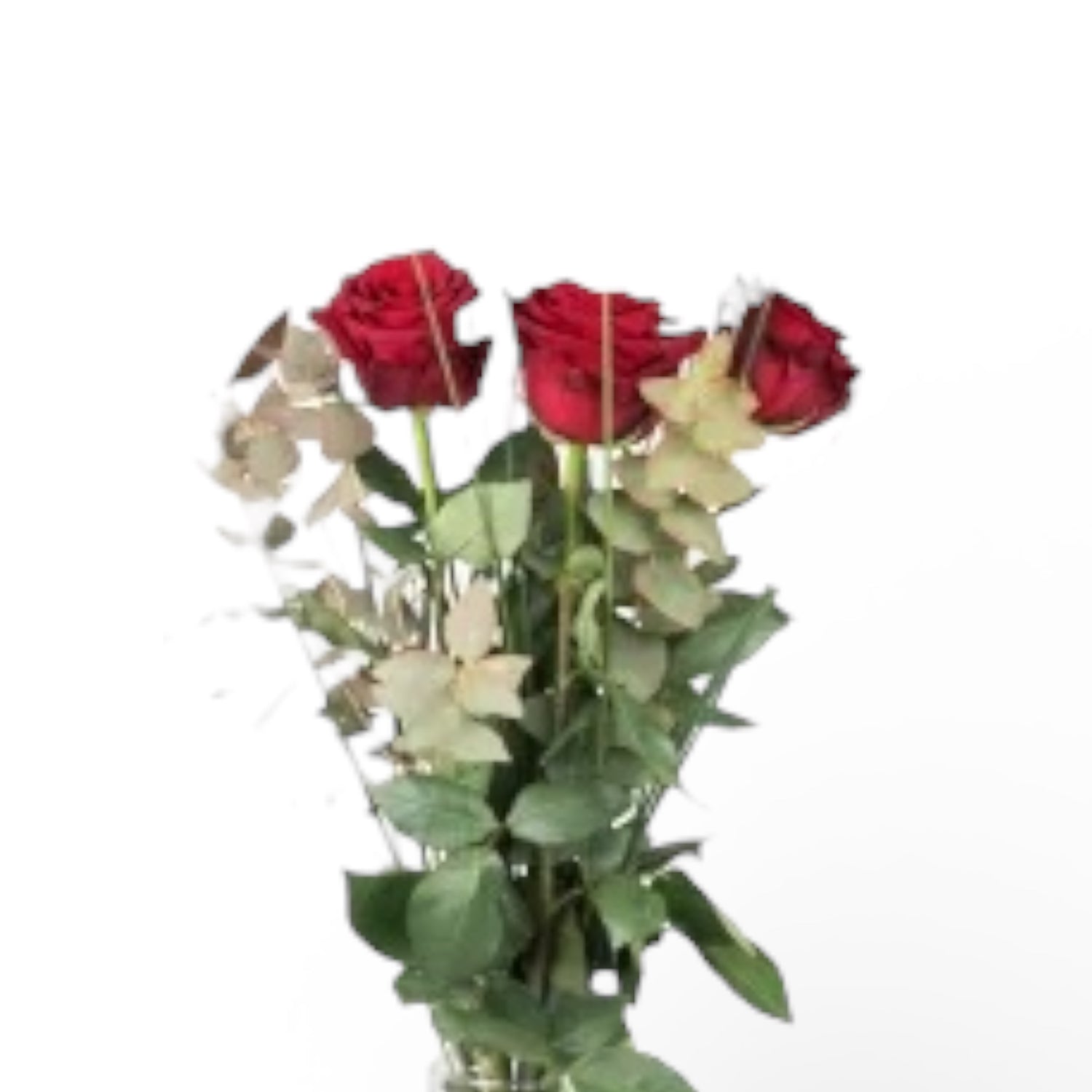 Rose rosse per San Valentino