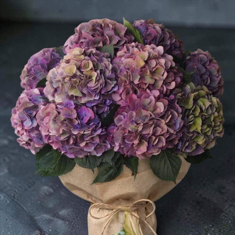 Bouquet di ortensie autunnali