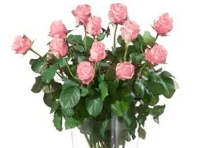 Bouquet 12 Rose rosa gambo lungo senza verde