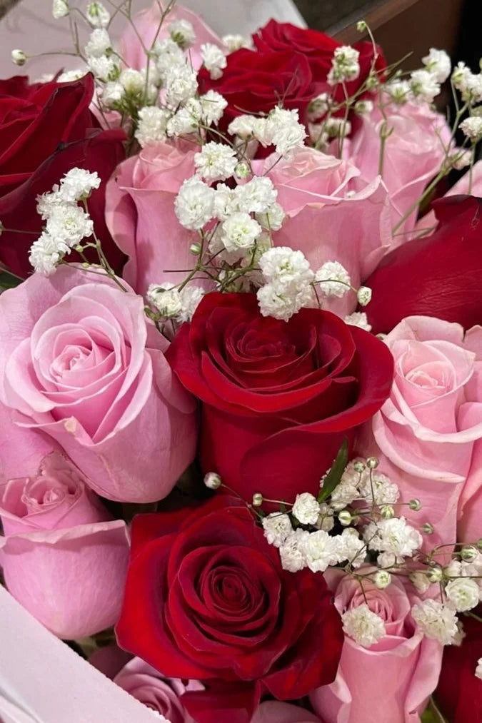 Bouquet di 15 rose rosse e rosa con gypsophila