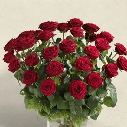 Bouquet di 36 Rose rosse gambo medio e verde decorativo