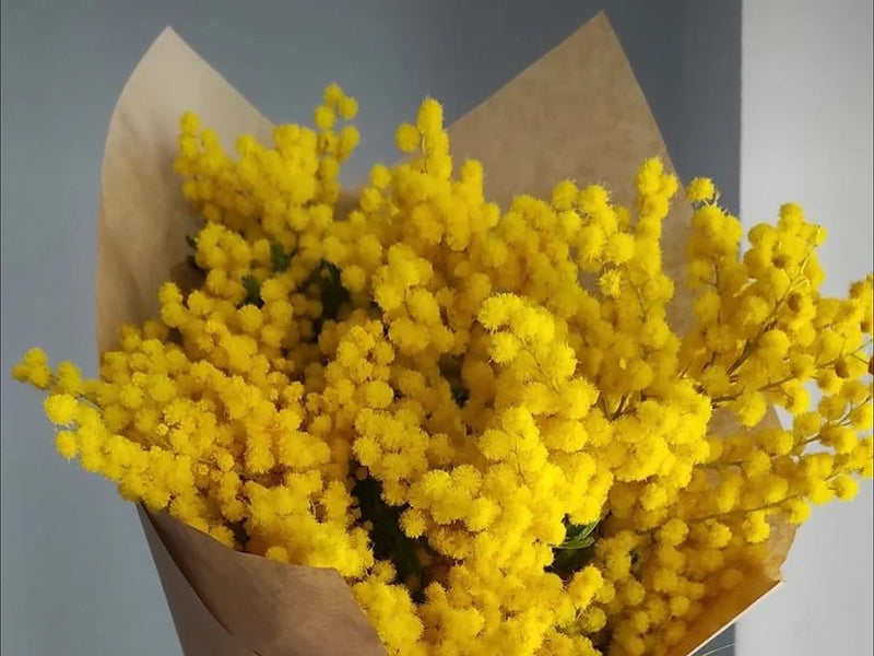 Bouquet di mimosa per la Festa della Donna da mezzo kilo