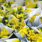 Bouquet mini di mimosa per 8 Marzo in confezione (minimo 10 pezzi)