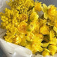 Bouquet di narcisi e mimosa per la Festa della Donna.