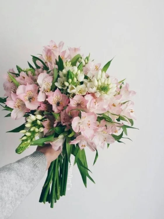Bouquet di ornitogallo e alstroemeria