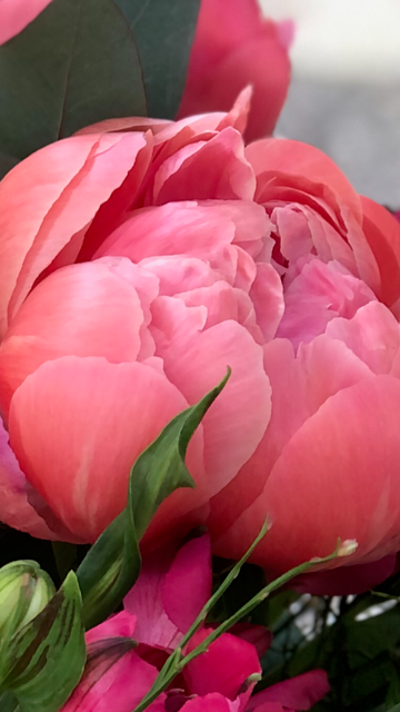 Bouquet di Peonie Festa della Mamma