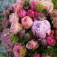 Bouquet di peonie e roselline di Primavera