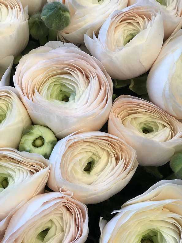 Bouquet con ranuncoli di Primavera ed eucalipto