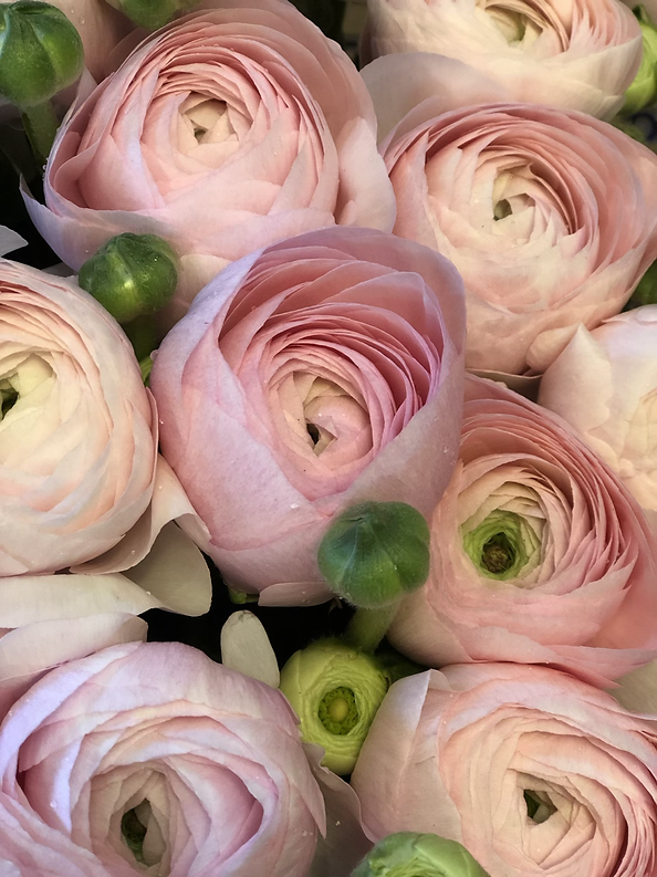 Bouquet con ranuncoli di Primavera ed eucalipto