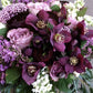 Bouquet di Primavera profumato con rose, serenella, helleborus