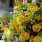 Bouquet di tulipani doppi, mimosa, eucalipto per la Festa della donna