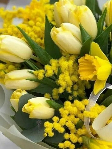 Bouquet di tulipani narcisi e mimosa per l’8 Marzo