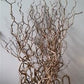 Rami di nocciolo per albero di Pasqua