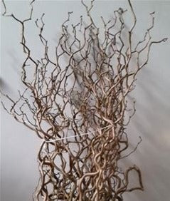 Rami di nocciolo per albero di Pasqua